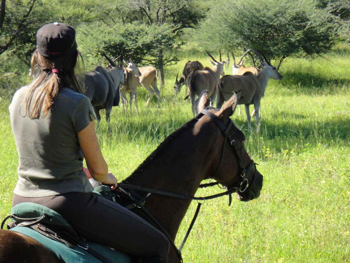 Central Kalahari Game Reserve Ckgr Botswana Safari Camps And Lodges