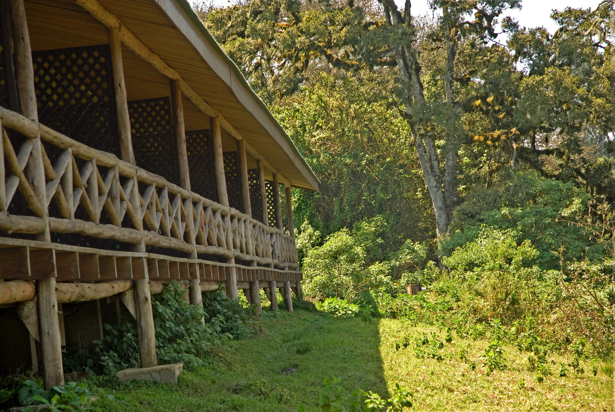 Rhino Lodge Ngorongoro Crater Conservation Area Tanzania