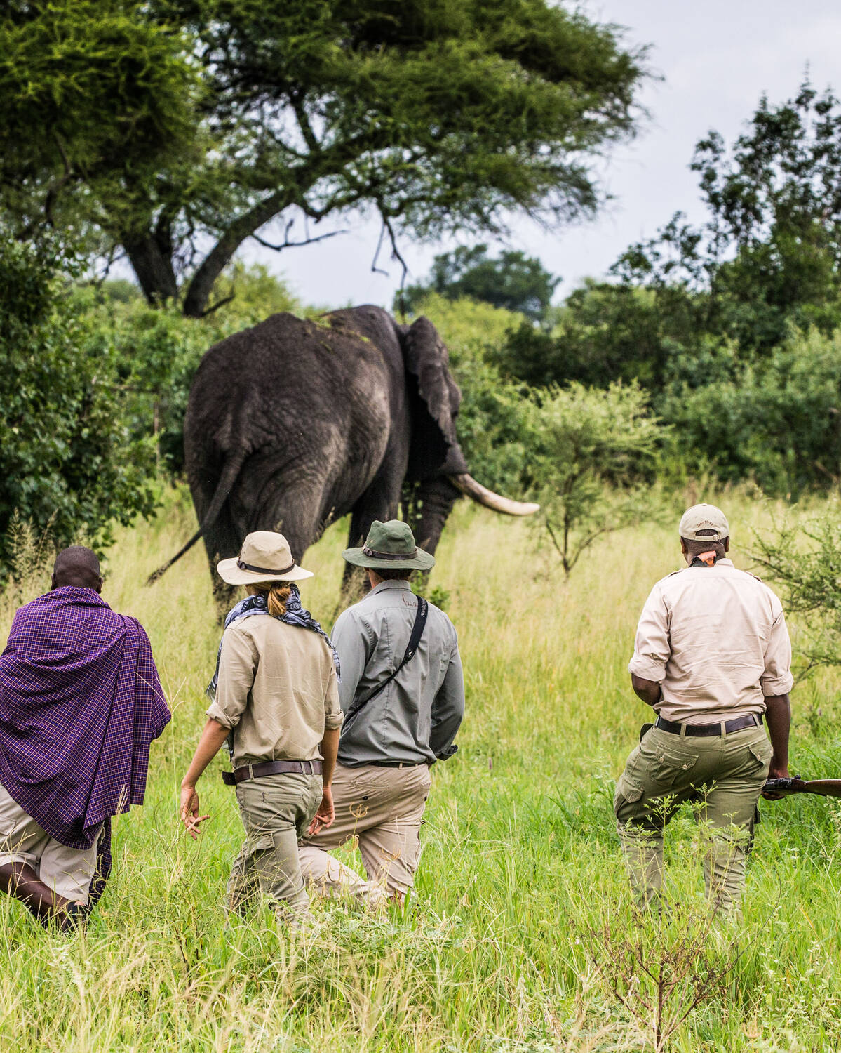 Walking Safaris In Africa Expert Africa