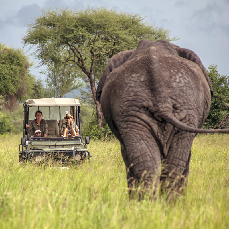 Tarangire National Park 8 Safari Holidays And Tours Tanzania