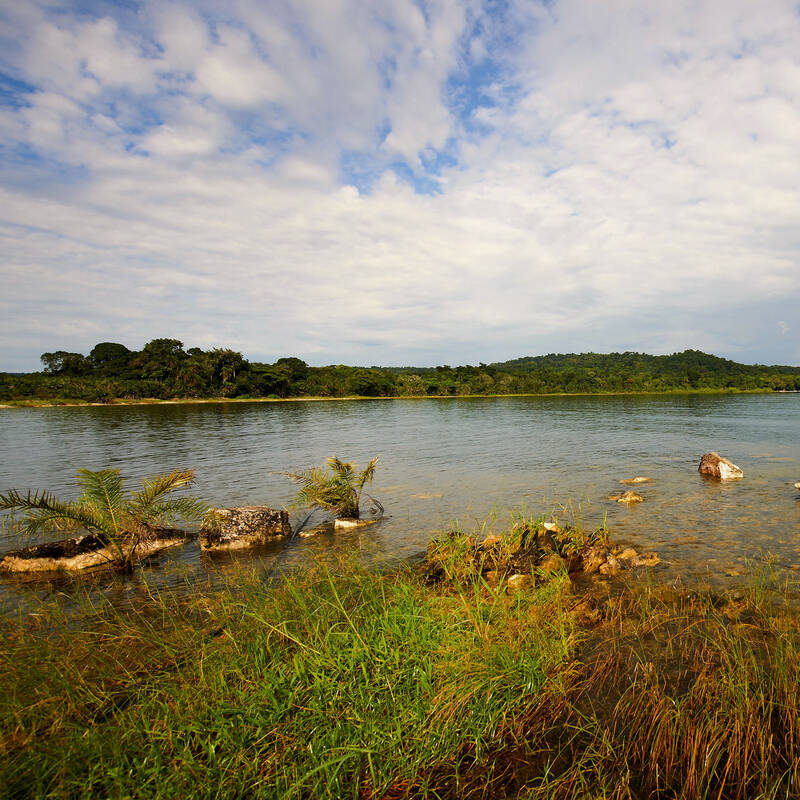 Rubondo Island National Park | Tanzania | Expert Africa