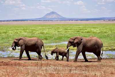 Tarangire National Park