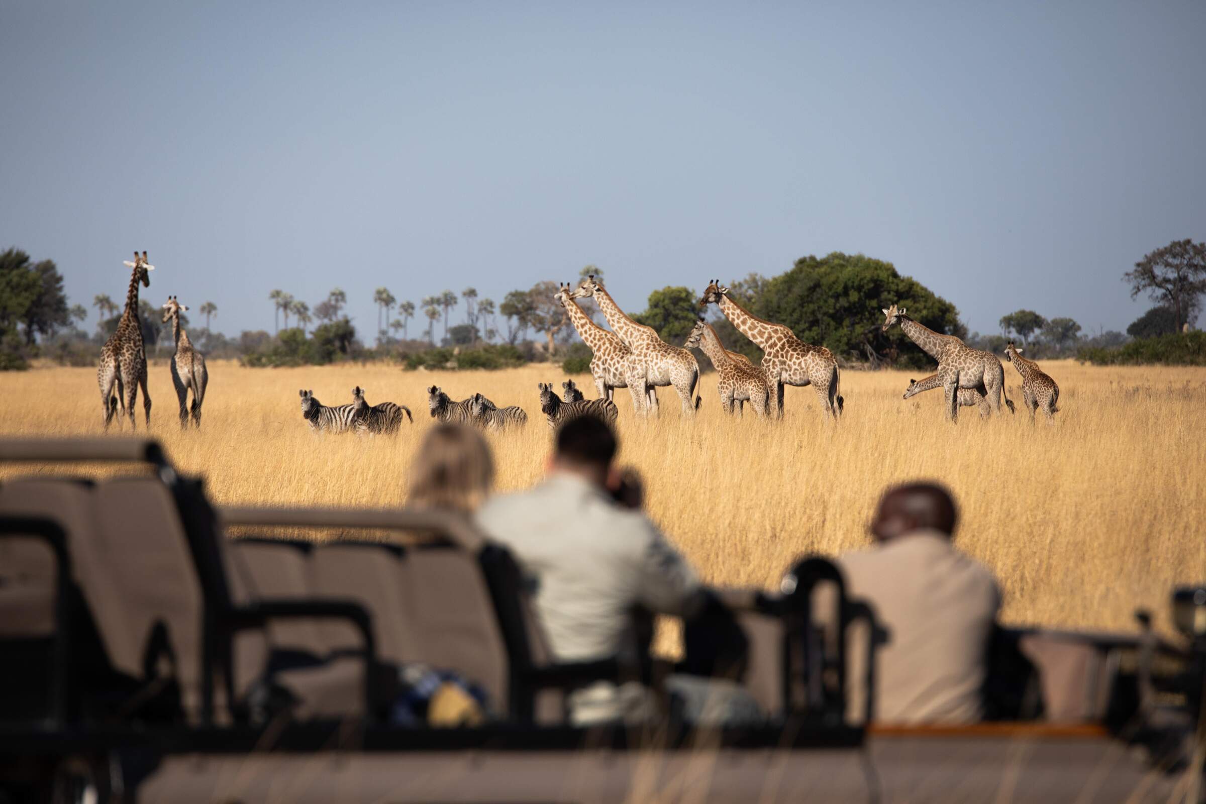 Tubu Tree Camp