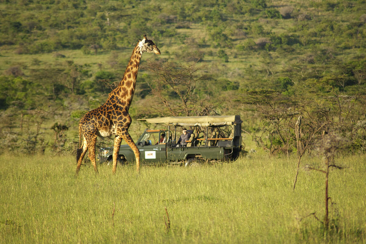 Encounter Mara | Maasai Mara Conservancies | Kenya | Expert Africa