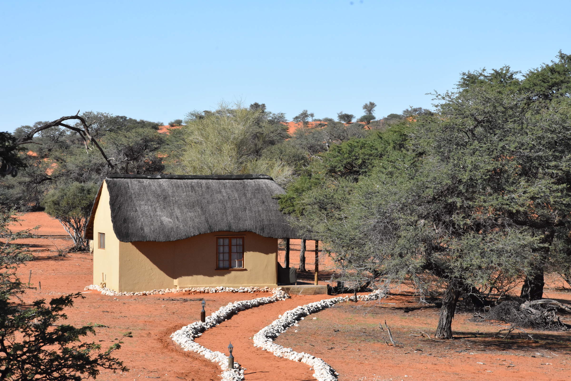 Camelthorn Kalahari Lodge