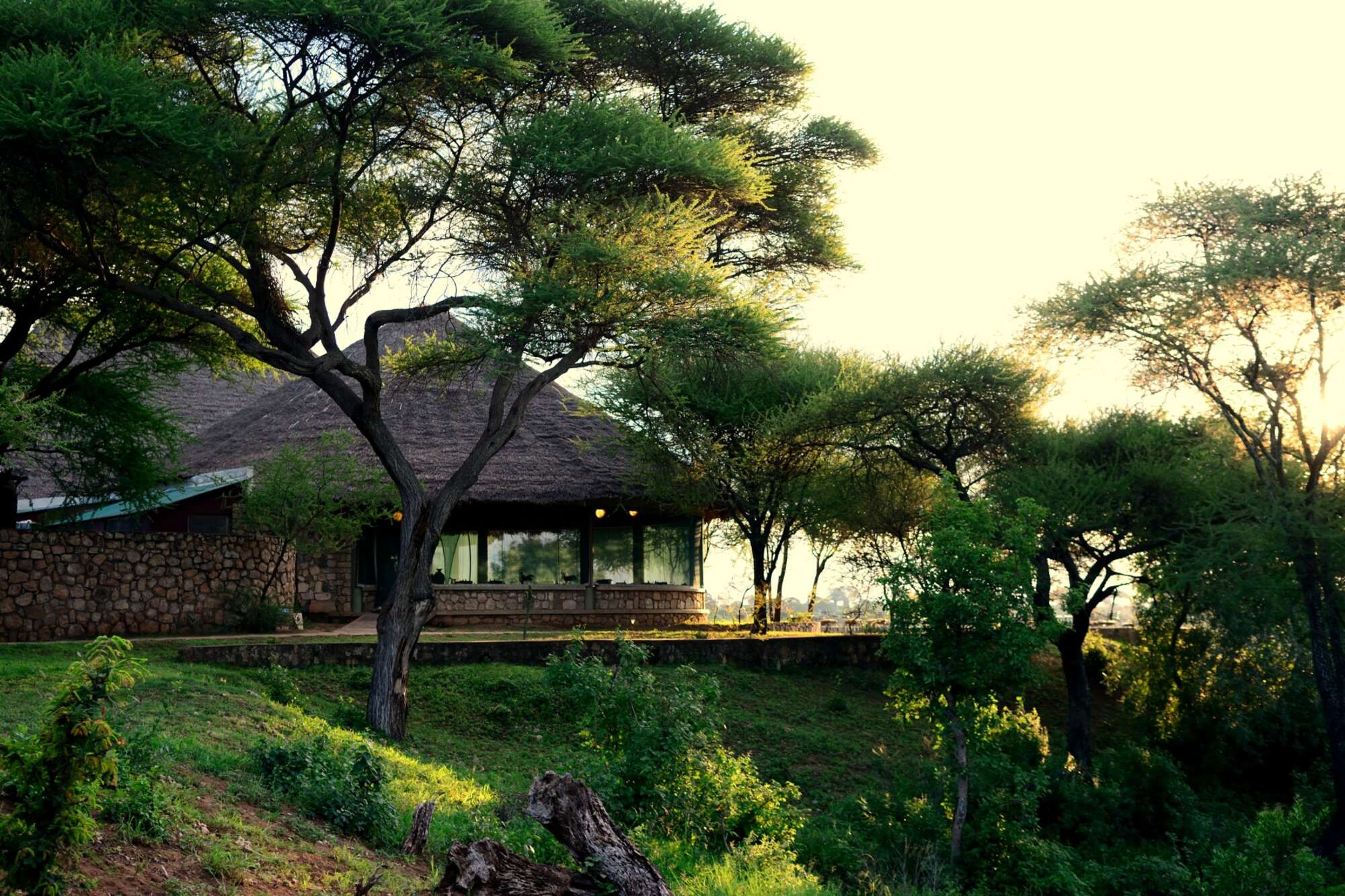 Tarangire Safari Lodge