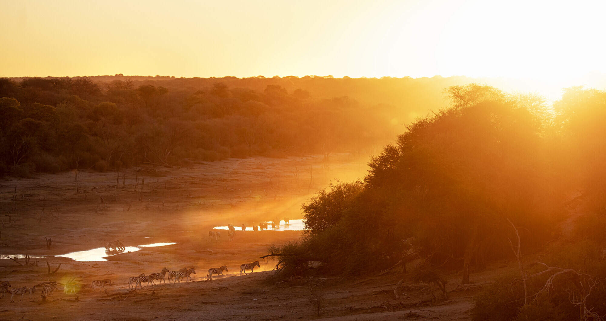 Meno A Kwena Tented Camp | Botswana safaris | Expert Africa