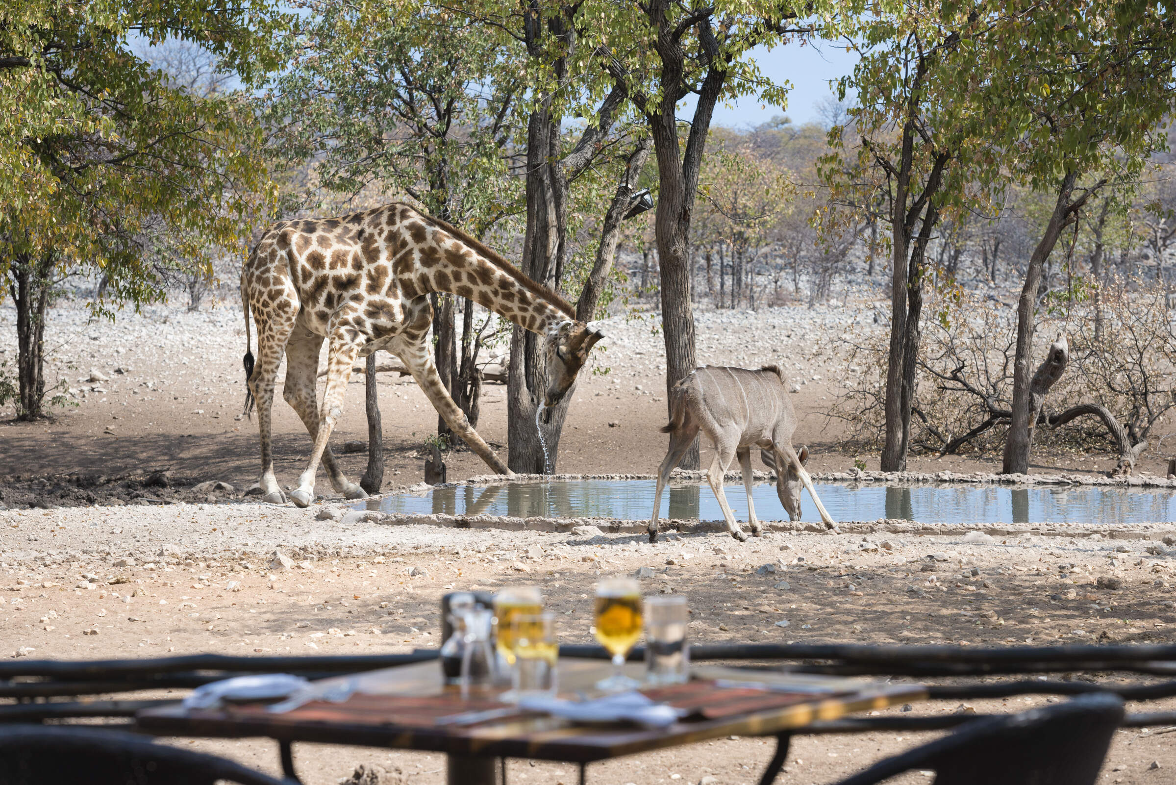 Namibia Safaris & Tours | Luxury & Self-Drive Namibia Safaris | Expert ...