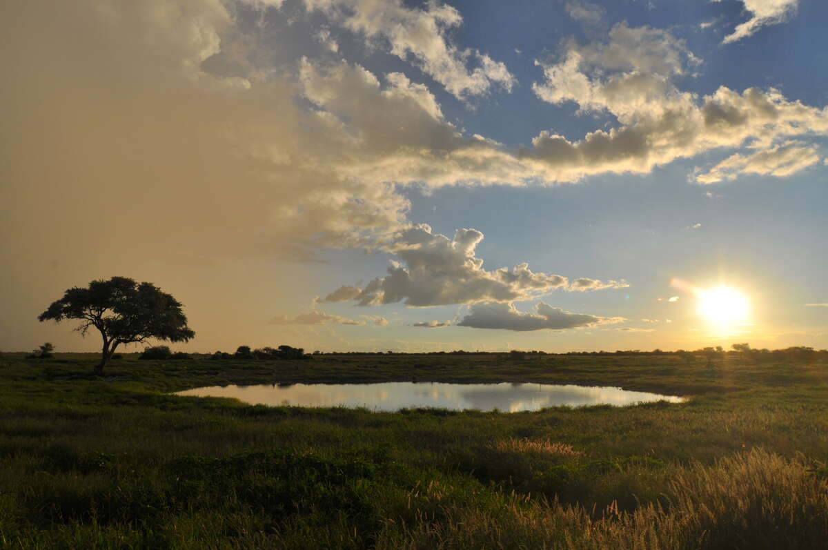 Okaukuejo Camp map | Etosha National Park in Namibia | Expert Africa