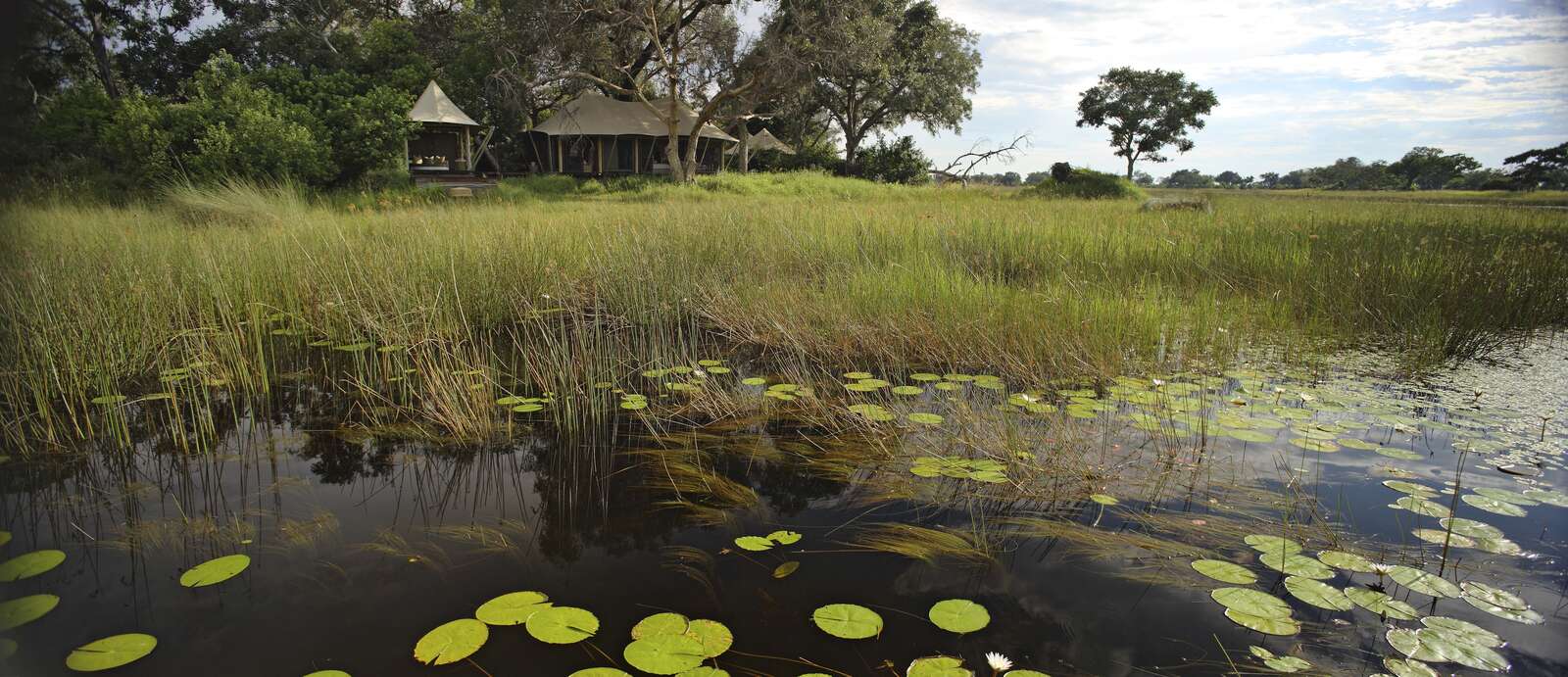 xaranna okavango safari lodge