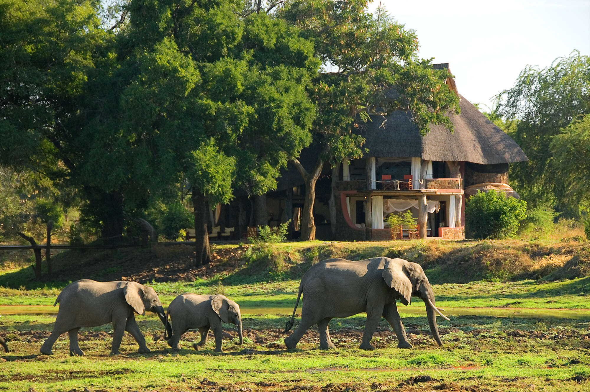 zambia safari months