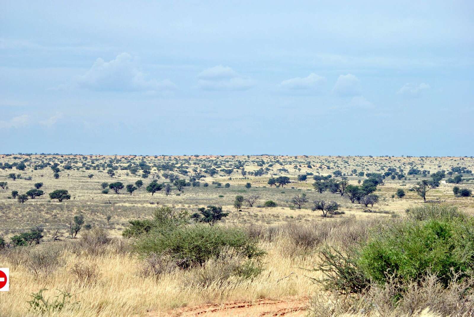 Kgalagadi Transfrontier Park Reference Map In South Africa Expert Africa   3d0ab87beac74456a64a330383301a2a 1600 