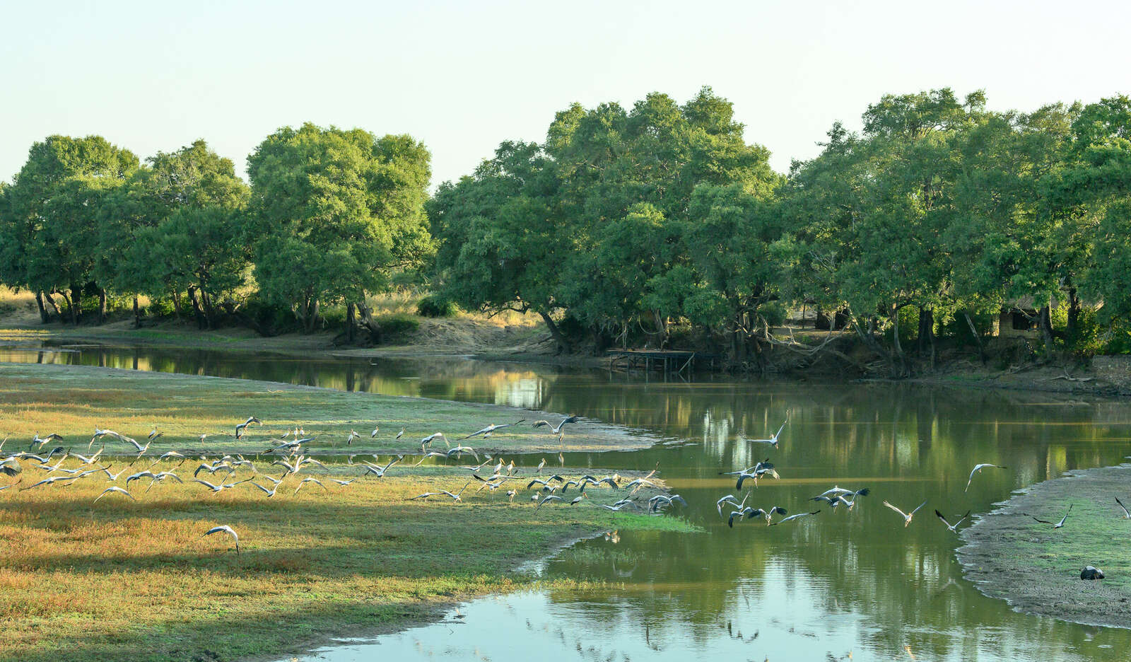 Big Lagoon Camp | South Luangwa National Park | Zambia safari | Expert ...