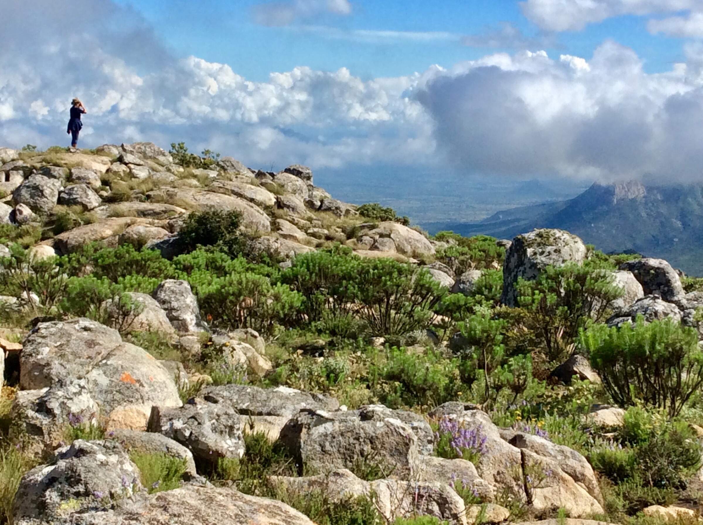 Eastern Highlands - Zimbabwe Safaris