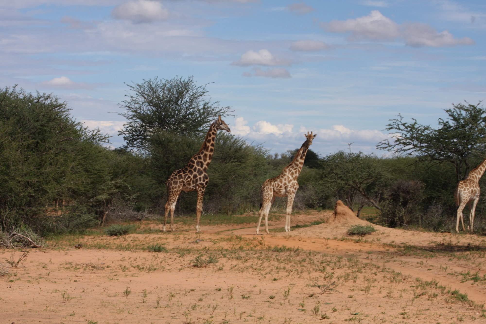 Waterberg Plateau National Park & hiking | Namibia holidays