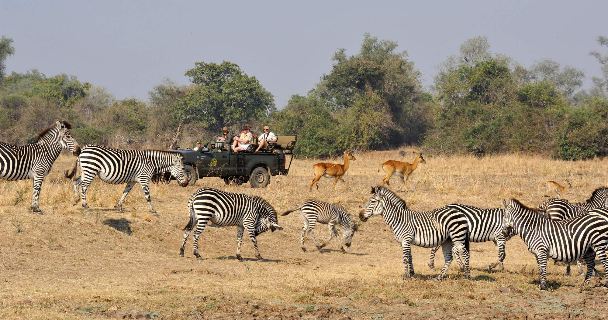 Photography holidays in Zambia | Expert Africa