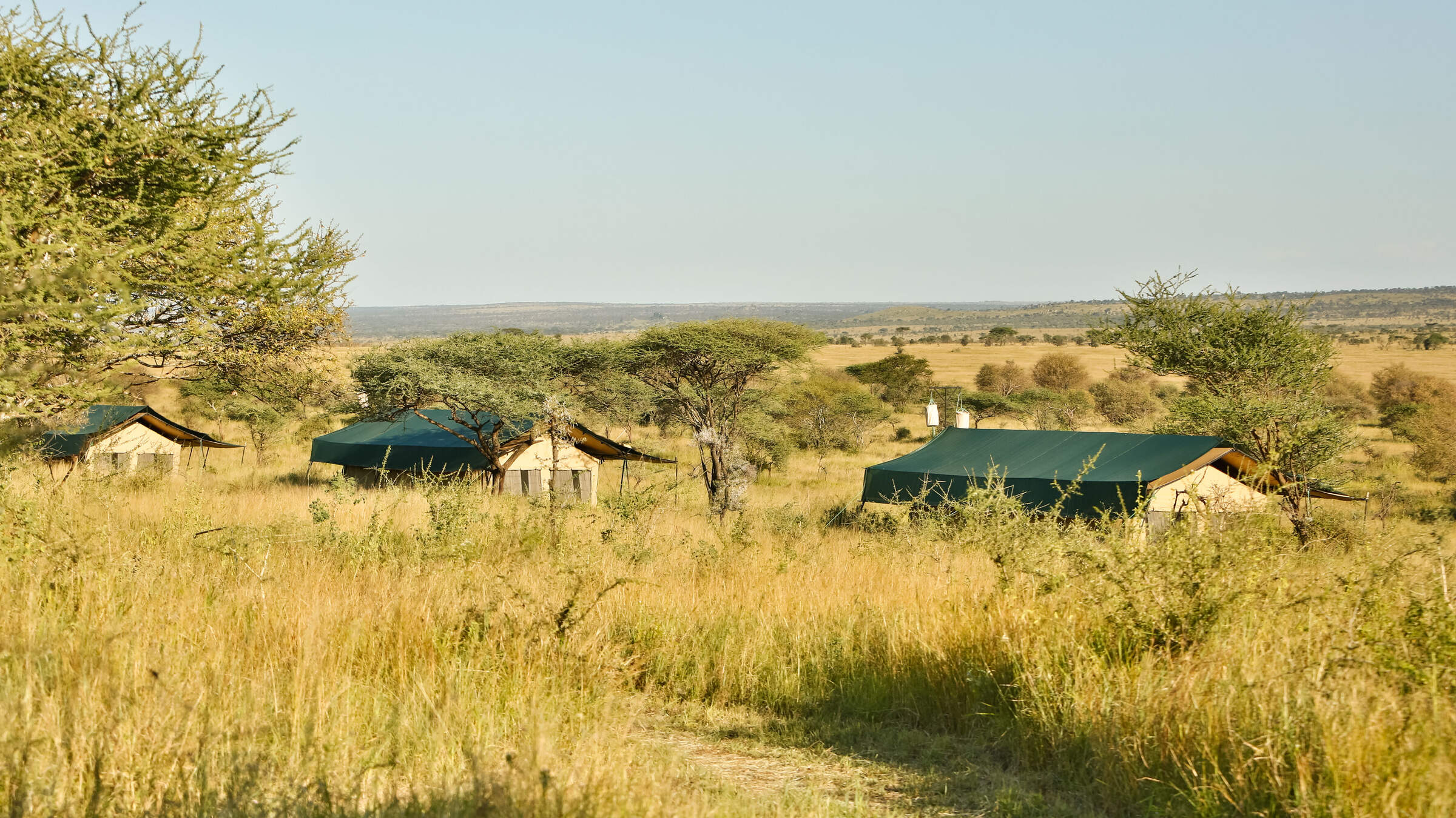 Nyikani Camp Central Serengeti