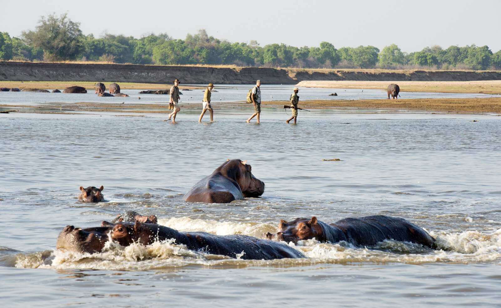 best walking safaris in zambia