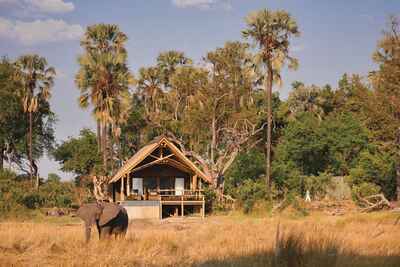 Eagle Island Lodge