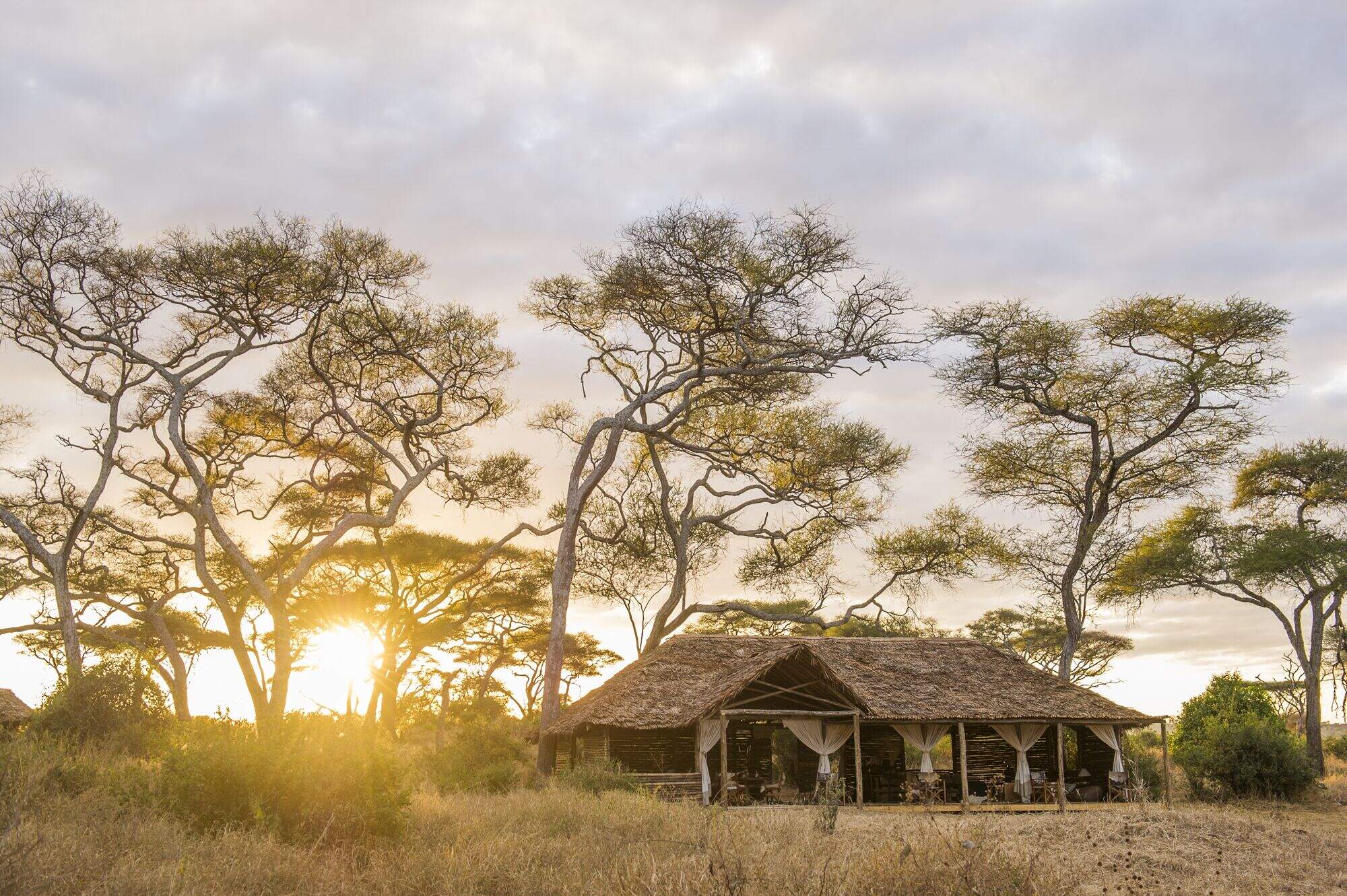 Reference Map Of Tarangire National Park Tanzania Expert Africa