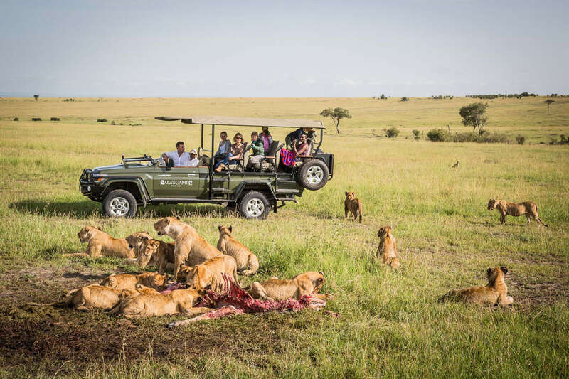 Wildlife safaris in Kenya | Expert Africa