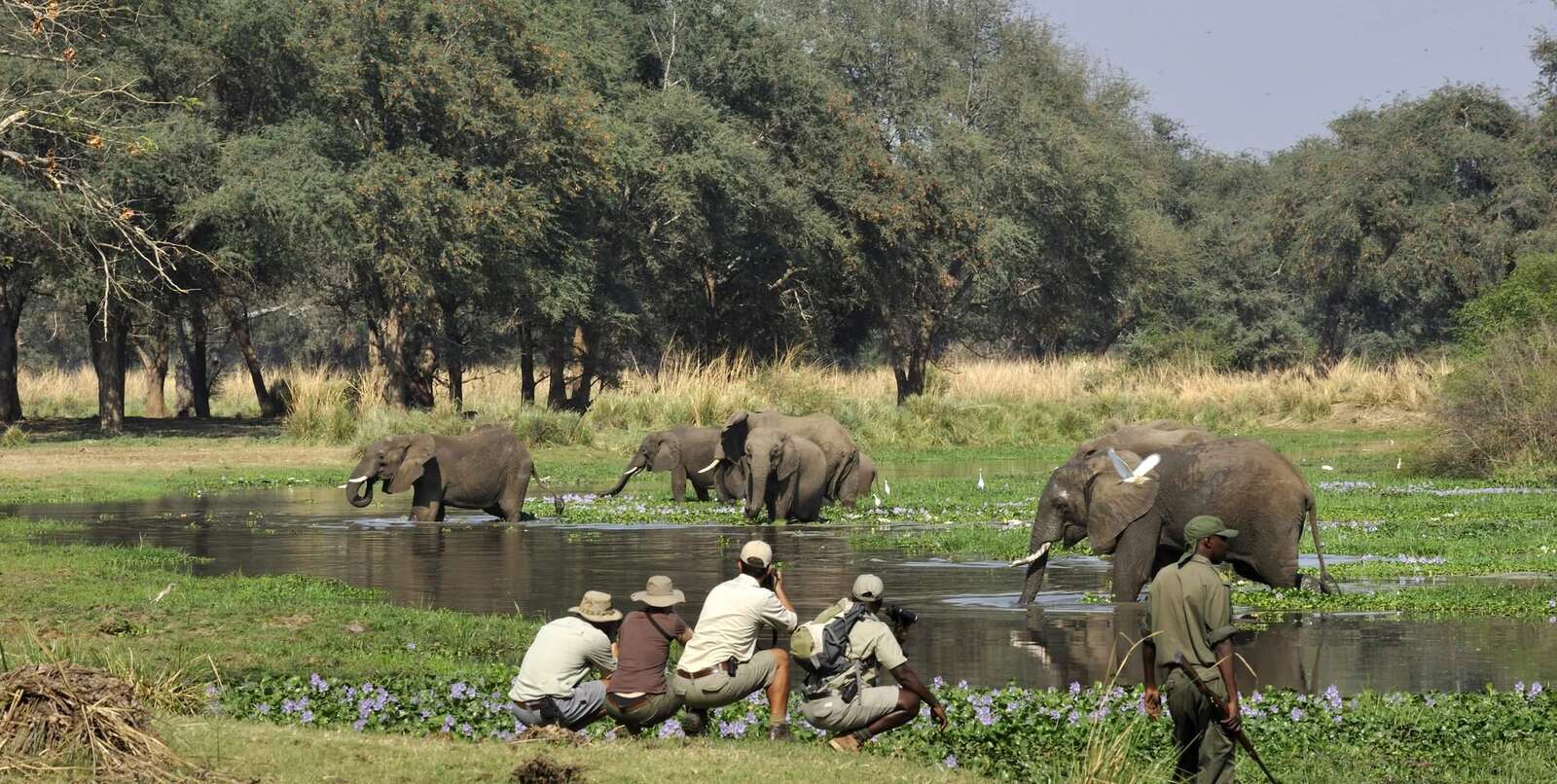 best walking safaris in zambia