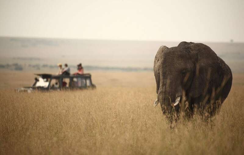 kenya safari experts