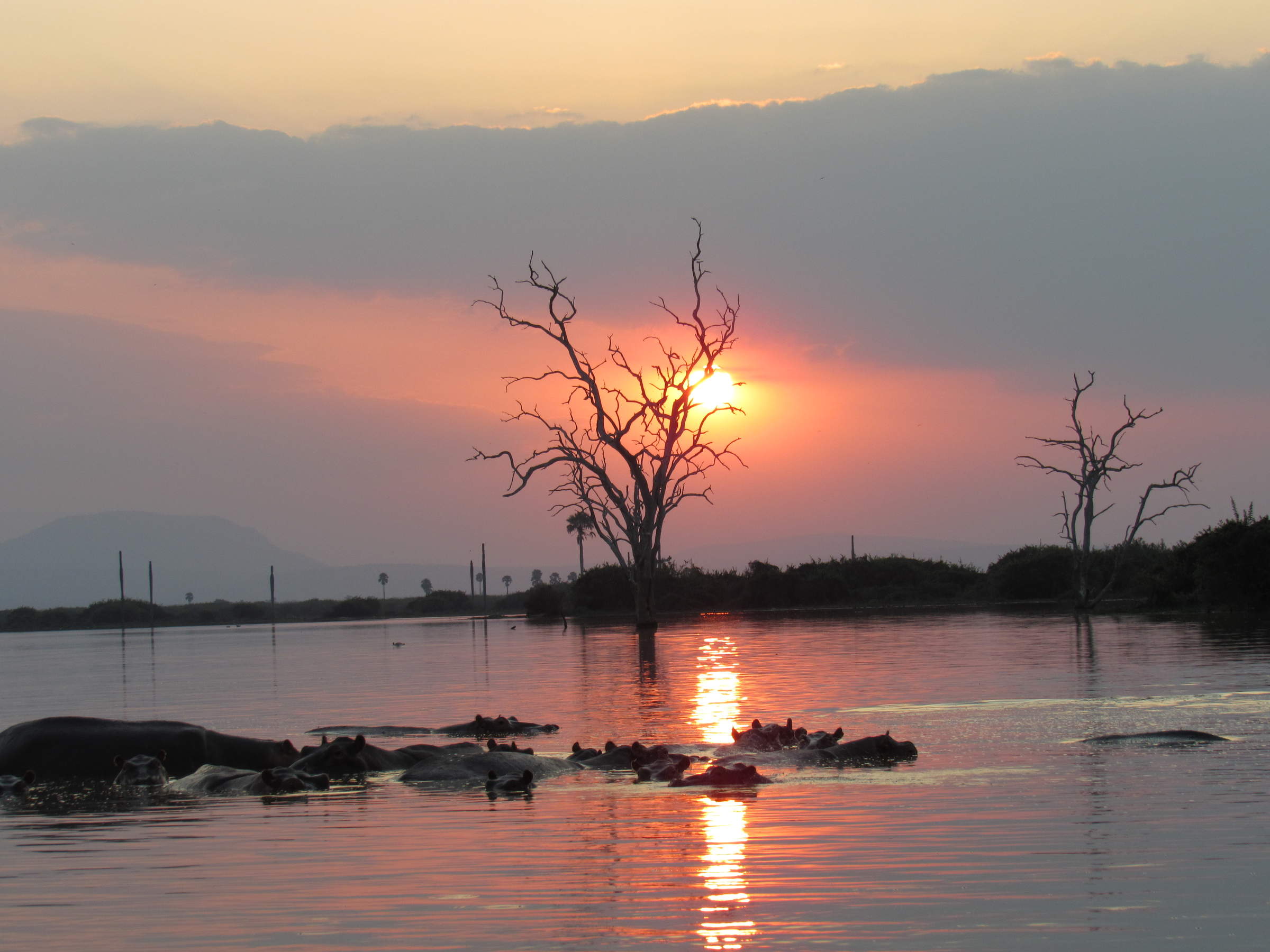 Lake Manze Tented Camp | Selous Game Reserve | Tanzania | Expert Africa