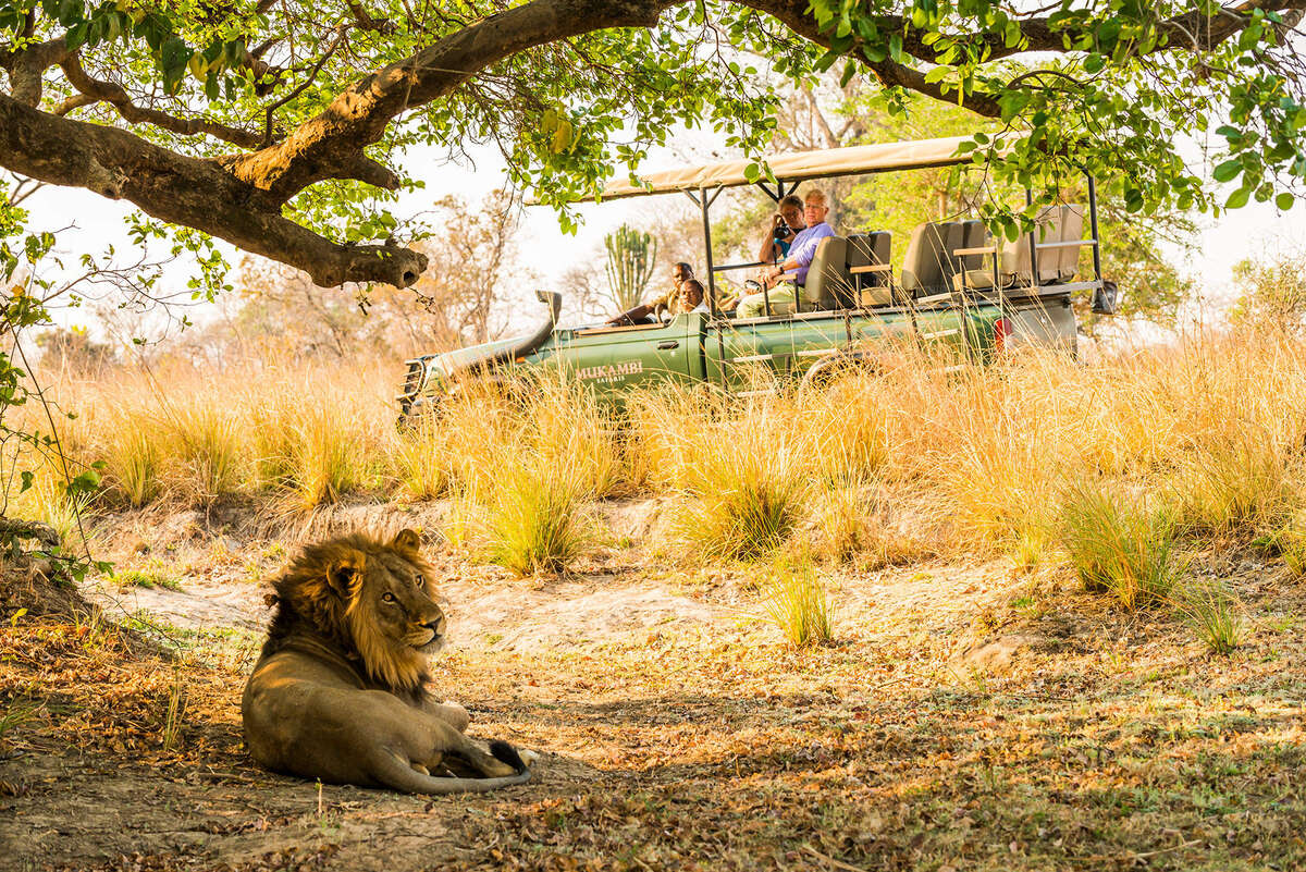 zambia safari november