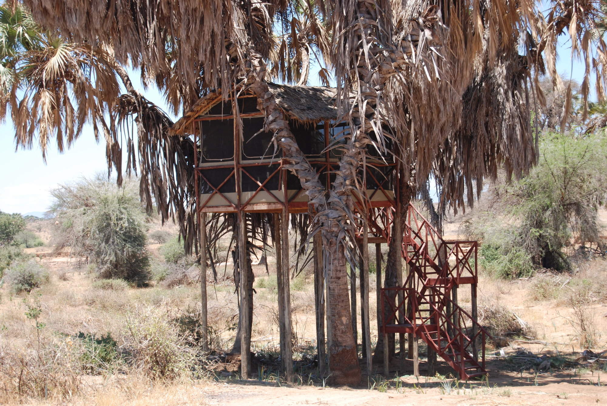 Elephant Bedroom Samburu National Reserve Kenya Expert Africa   7c81ce1a86ec4dd3b4c8159eb7fc9cfb 