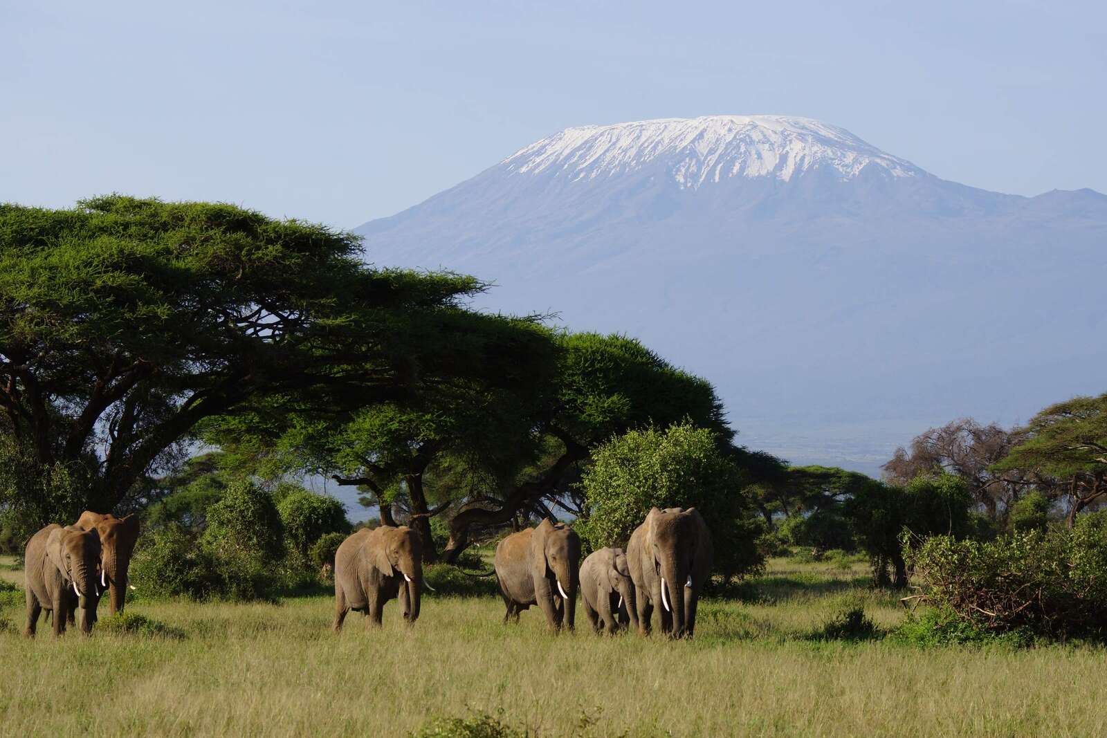 Laikipia | Kenya | Expert Africa