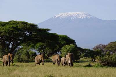 Tsavo West National Park | Kenya | Expert Africa