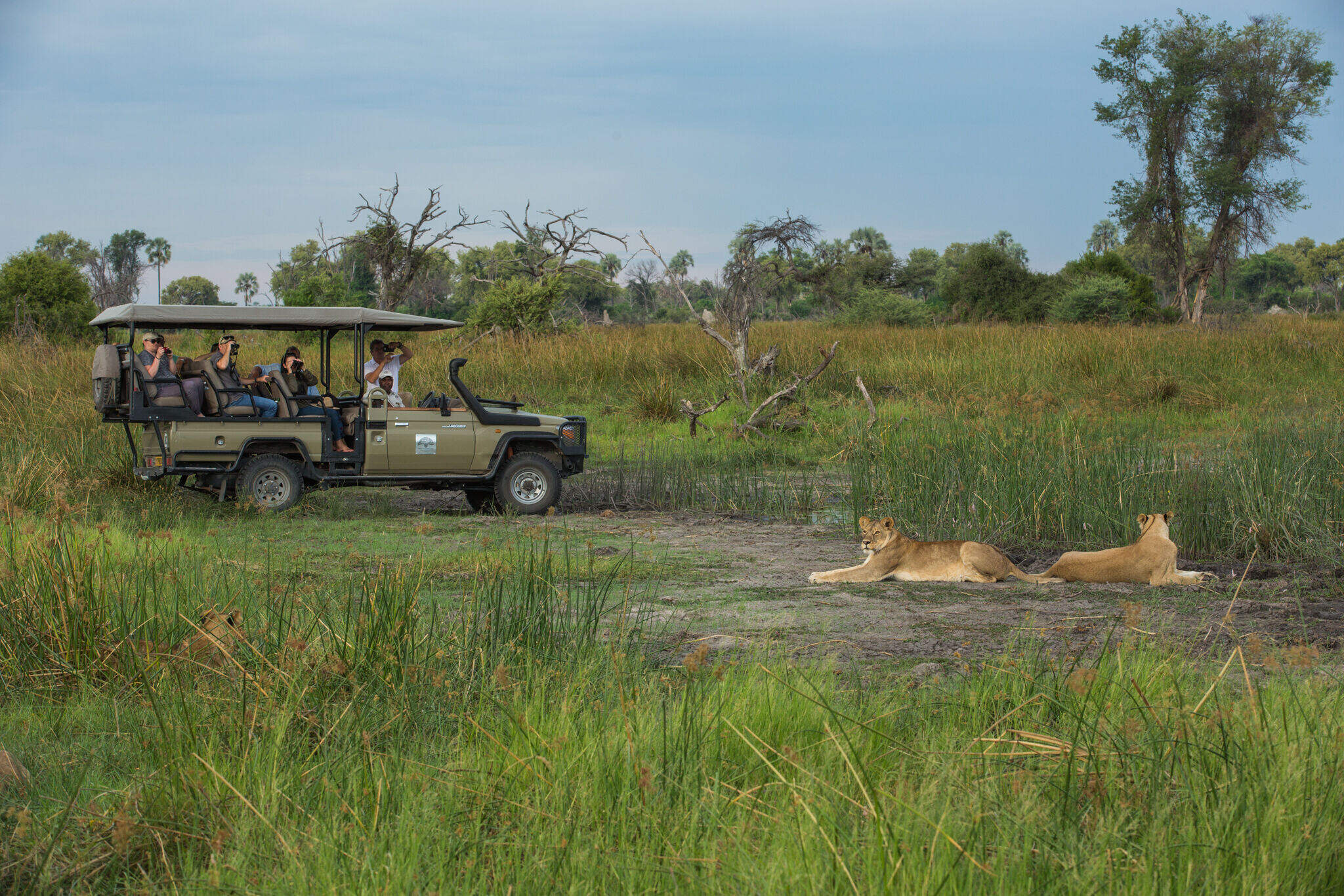 Kiri Camp | Okavango Delta Safari Reserves | Botswana | Expert Africa