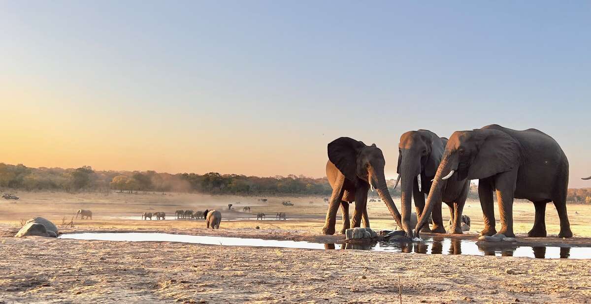 Sable Valley Lodge | Hwange NP | Zimbabwe | Expert Africa