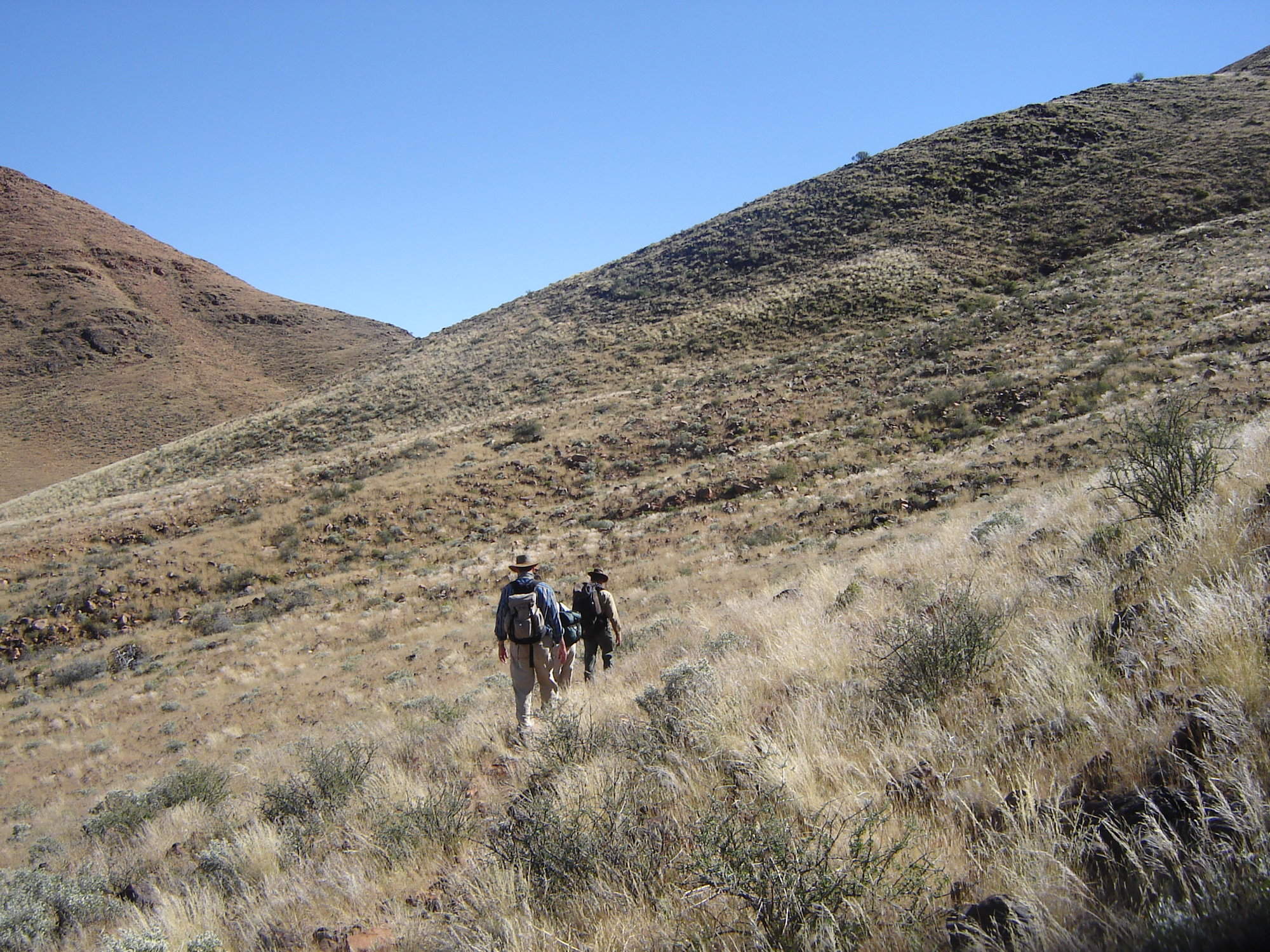 Tok Tokkie Trails