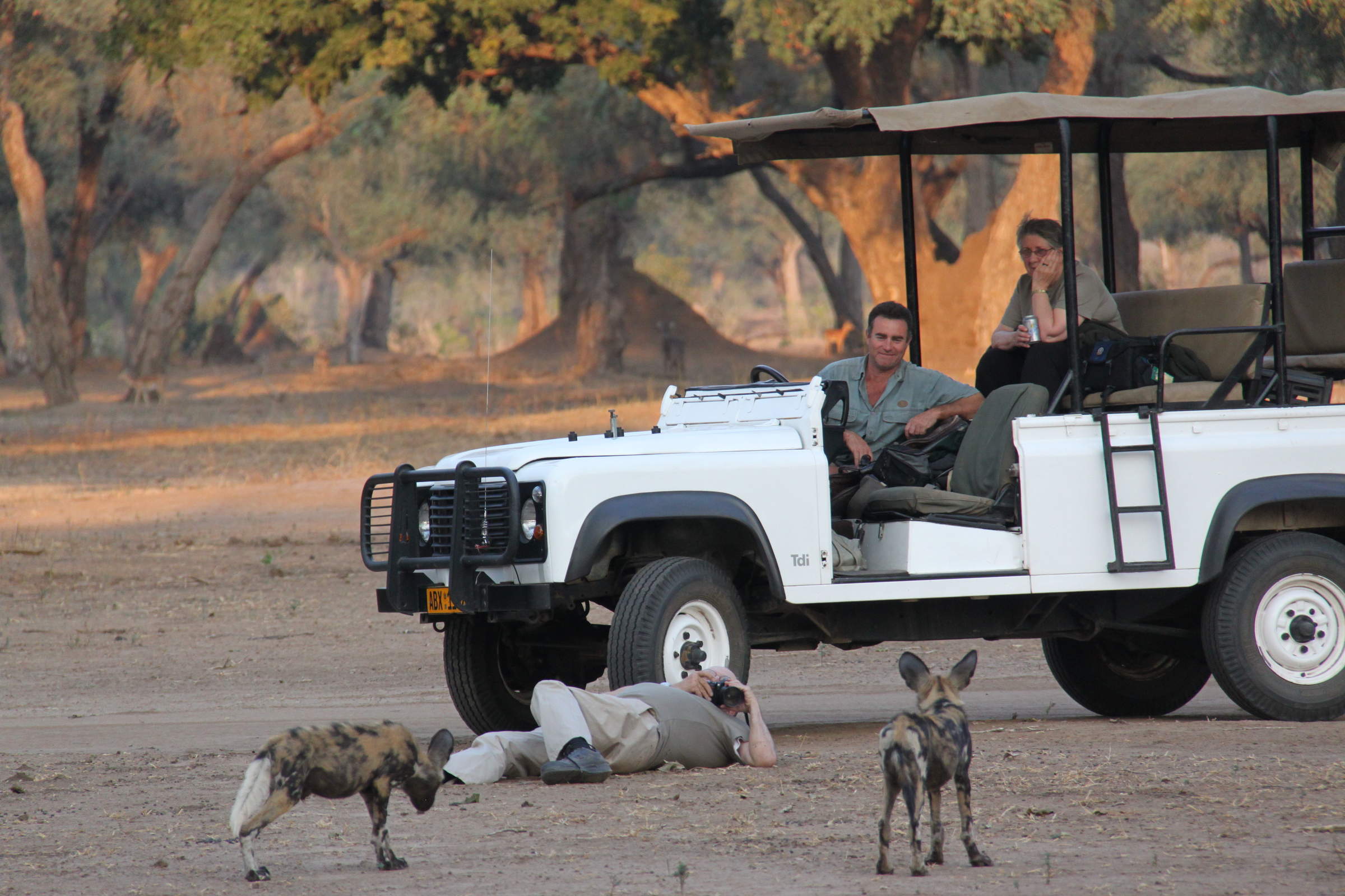 best safari zimbabwe