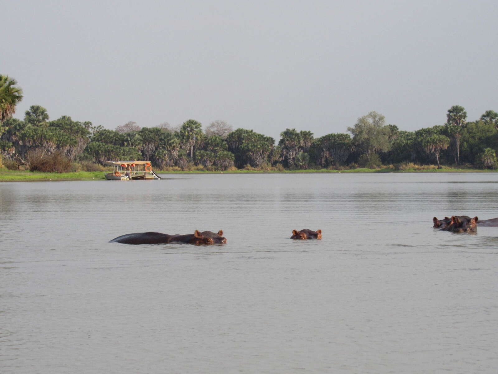 Lake Manze Tented Camp | Nyerere National Park | Tanzania | Expert Africa