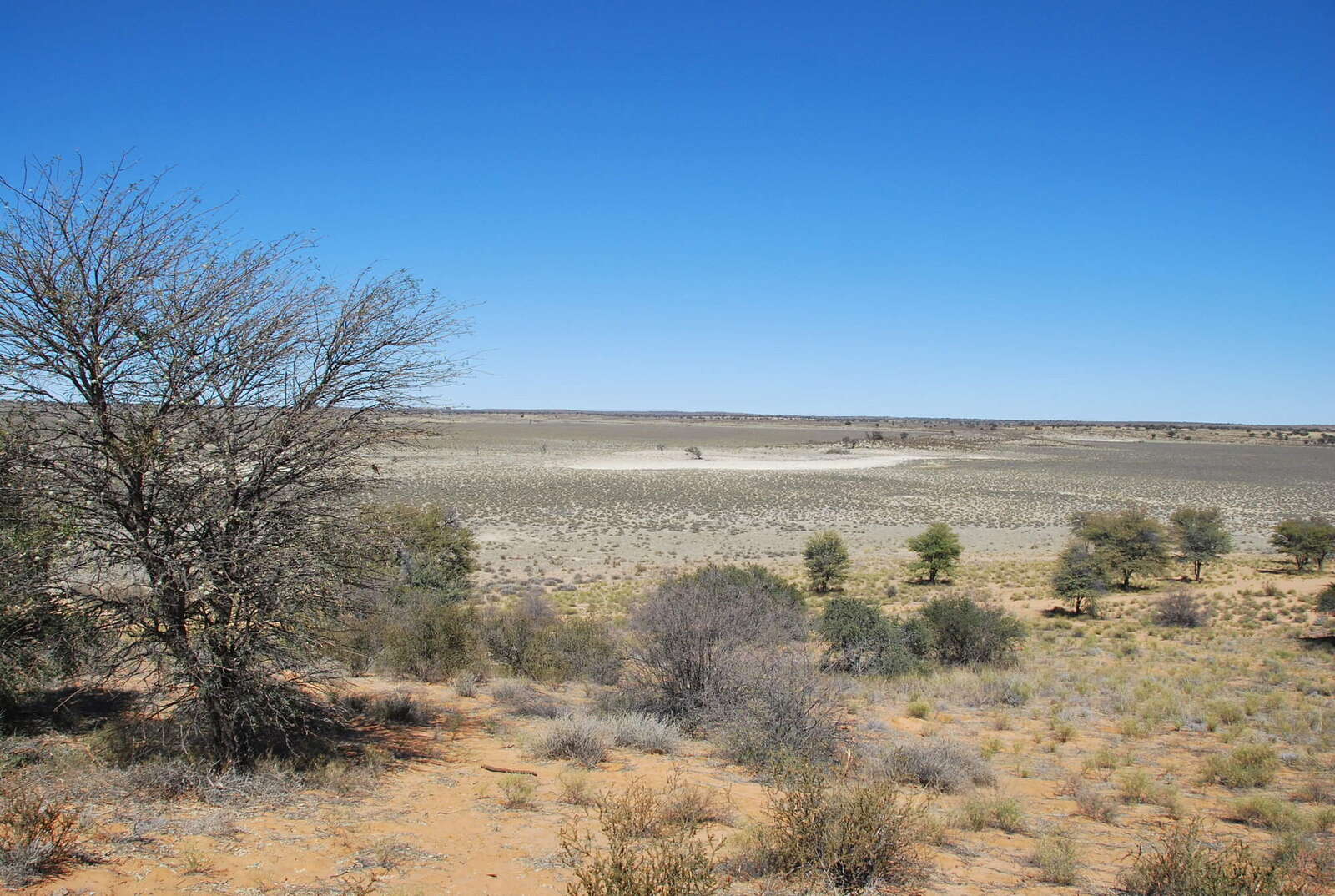 Kgalagadi Transfrontier Park reference map in South Africa | Expert Africa