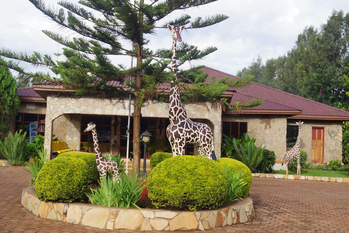 ngorongoro crater bougainvillea safari lodge