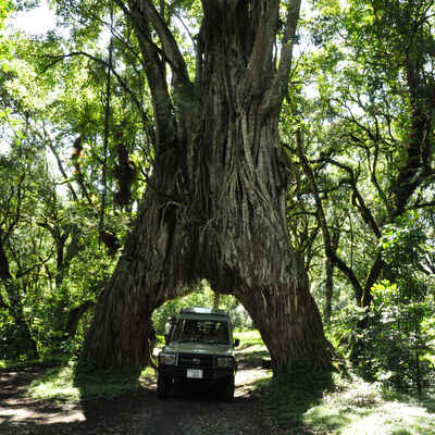 Reference map of Arusha | Tanzania | Expert Africa