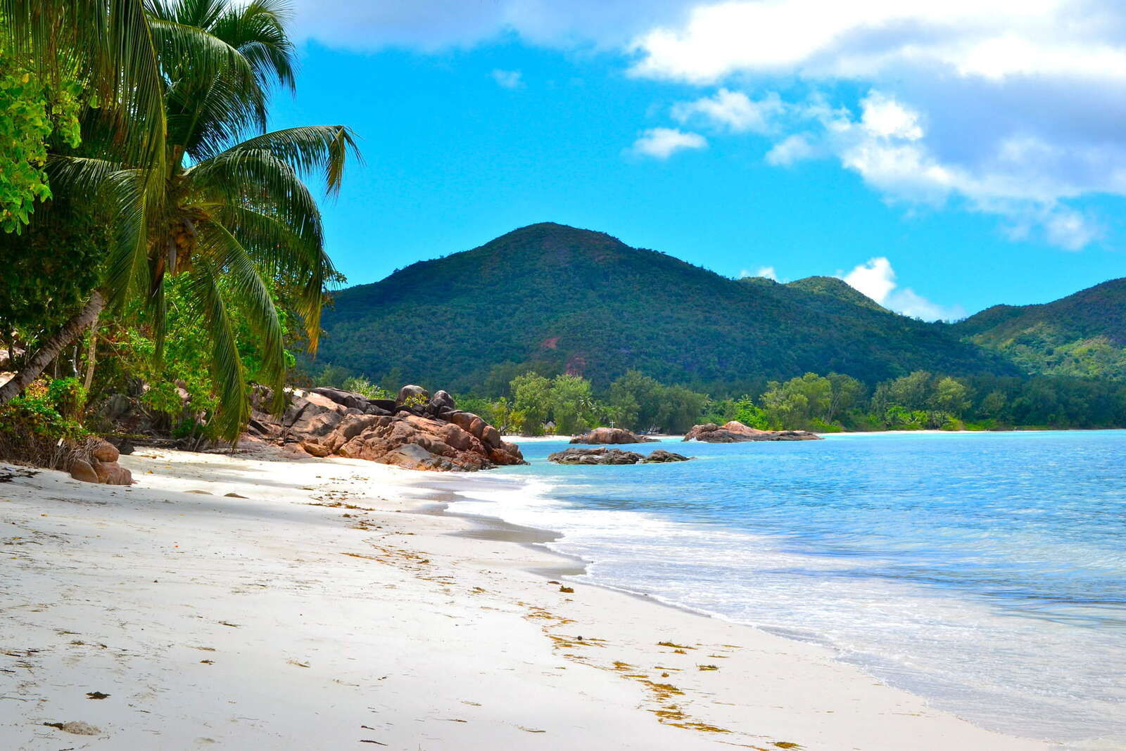 Praslin Island Beaches Resorts And Hotels Seychelles Holidays   B63e4d659054444993627f2fef4a78ef 1600 