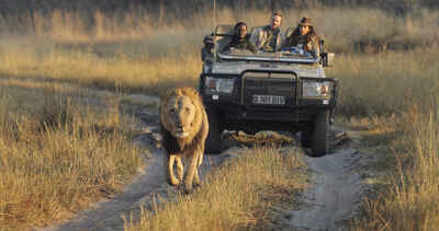 Map of Botswana | Google map showing main parks & reserves