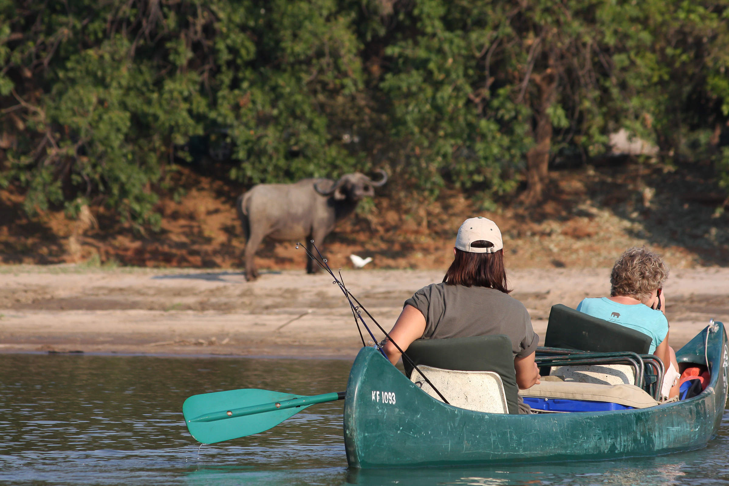 best safari zimbabwe