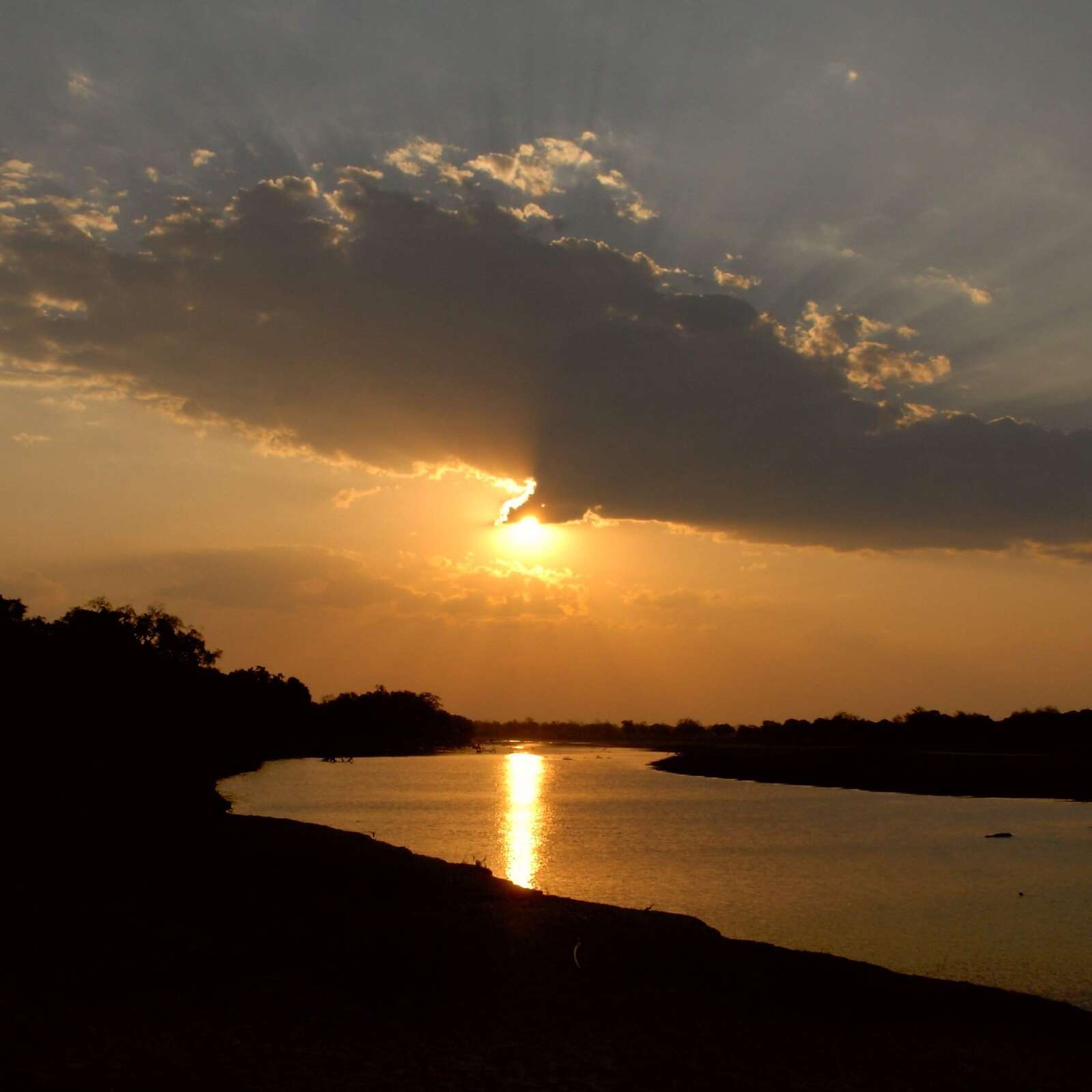 Tena Tena | South Luangwa | Zambia safari | Expert Africa