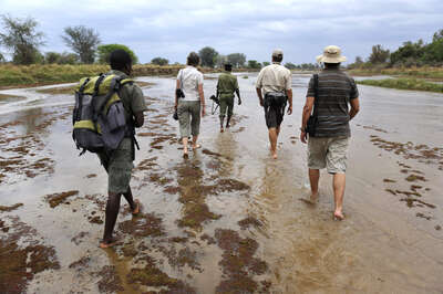 Hiking trips in Africa | Expert Africa