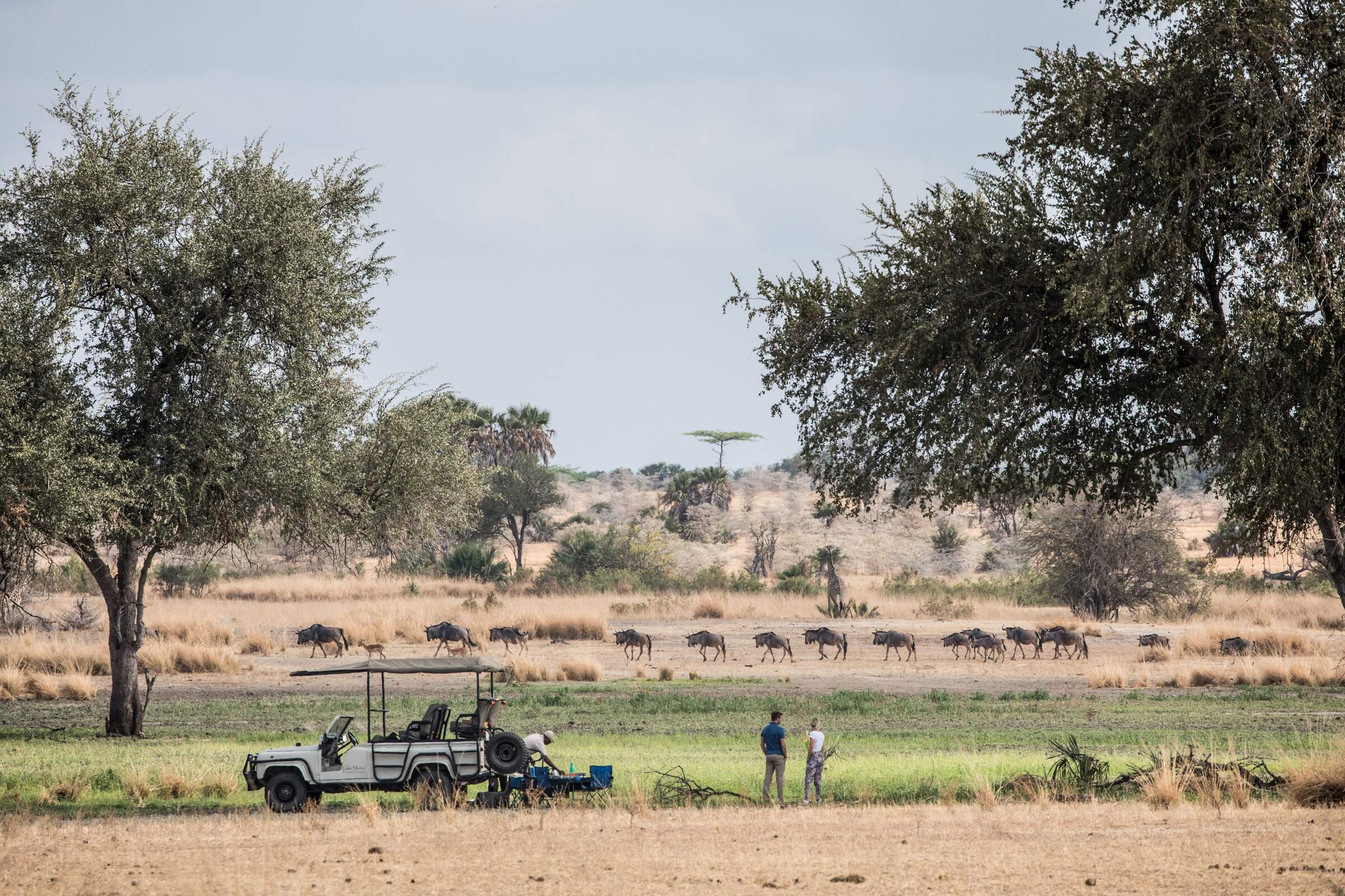 Sand Rivers Camp | Nyerere National Park | Tanzania | Expert Africa