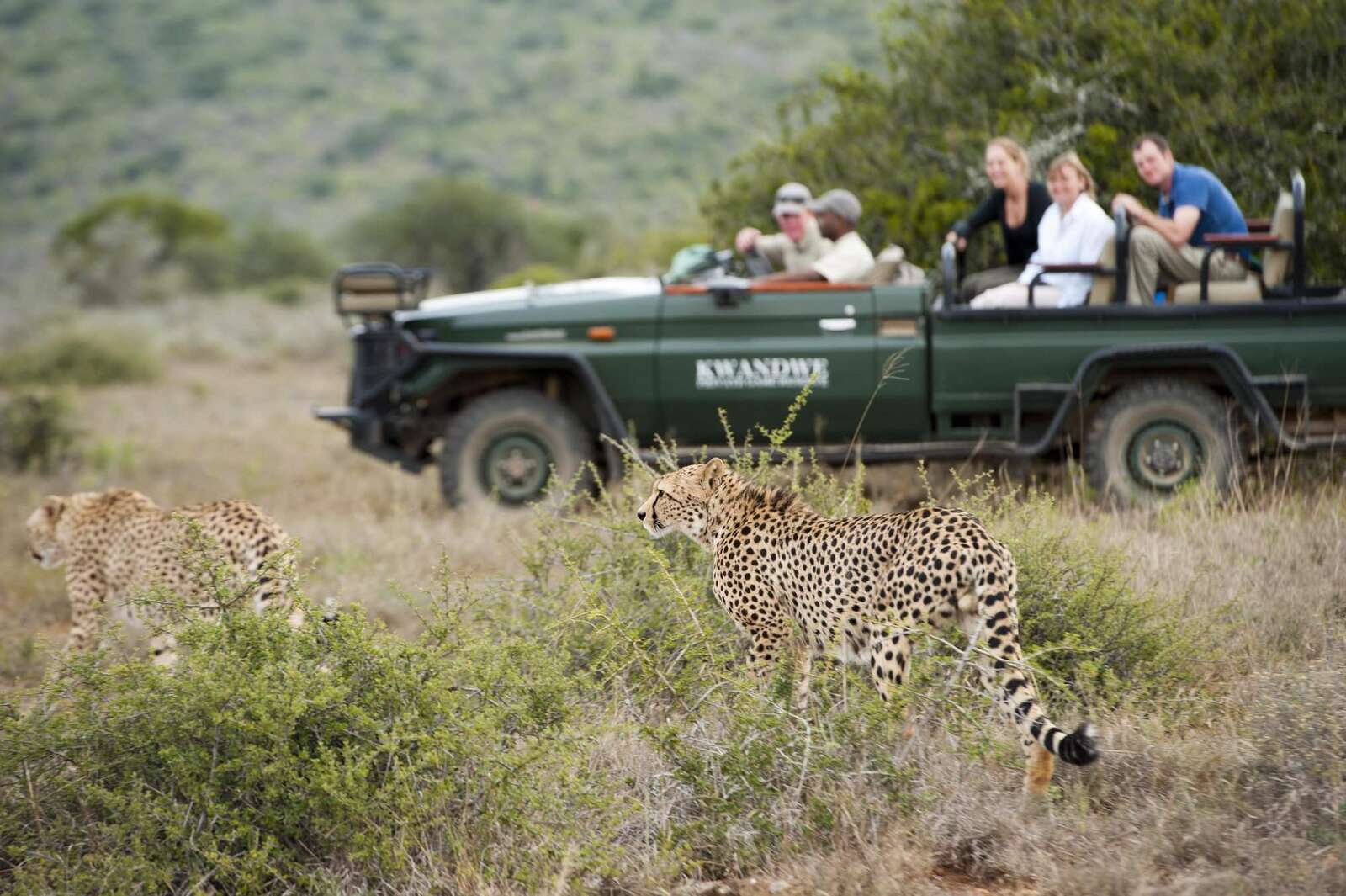 excellent safaris south africa