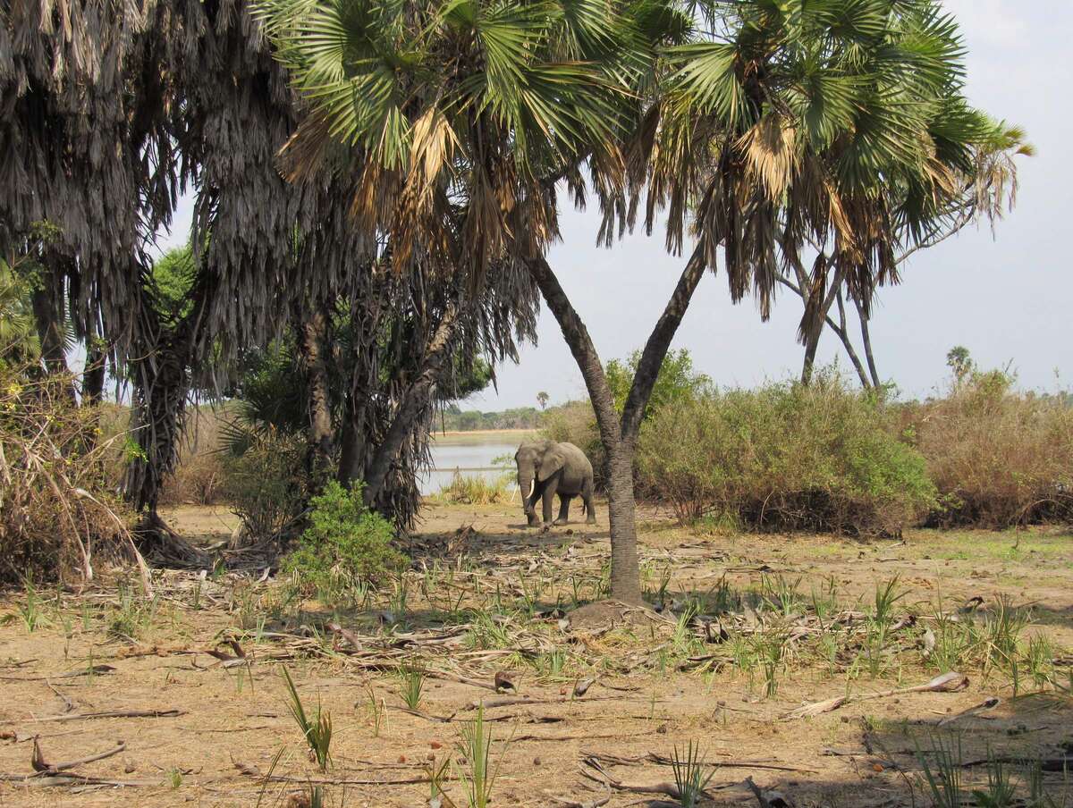 Lake Manze Tented Camp | Nyerere National Park | Tanzania | Expert Africa