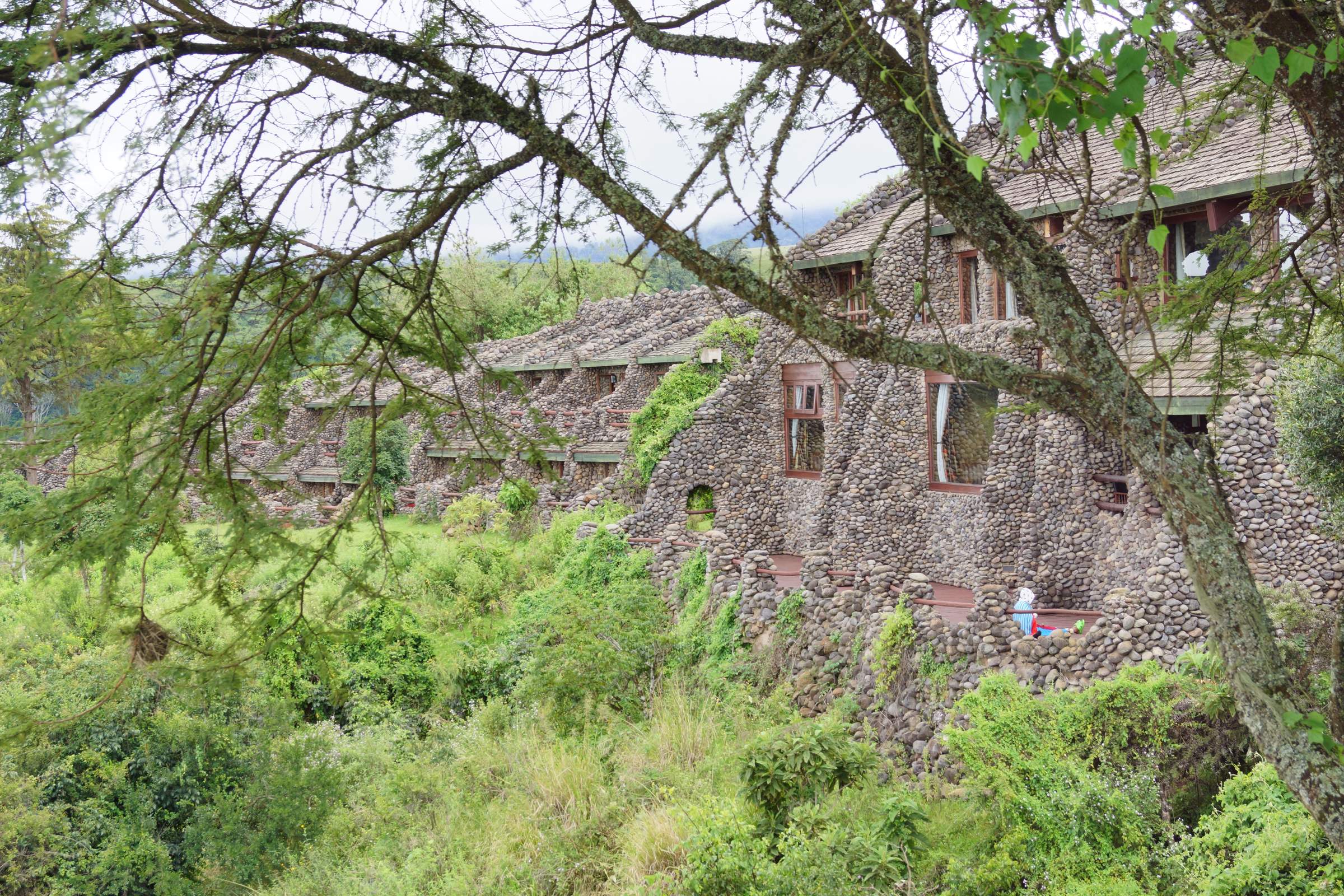 Ngorongoro Serena Safari Lodge