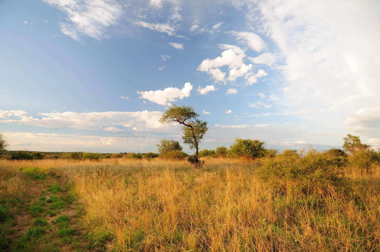 Deception Valley Lodge | Central Kalahari | Botswana Expert Africa